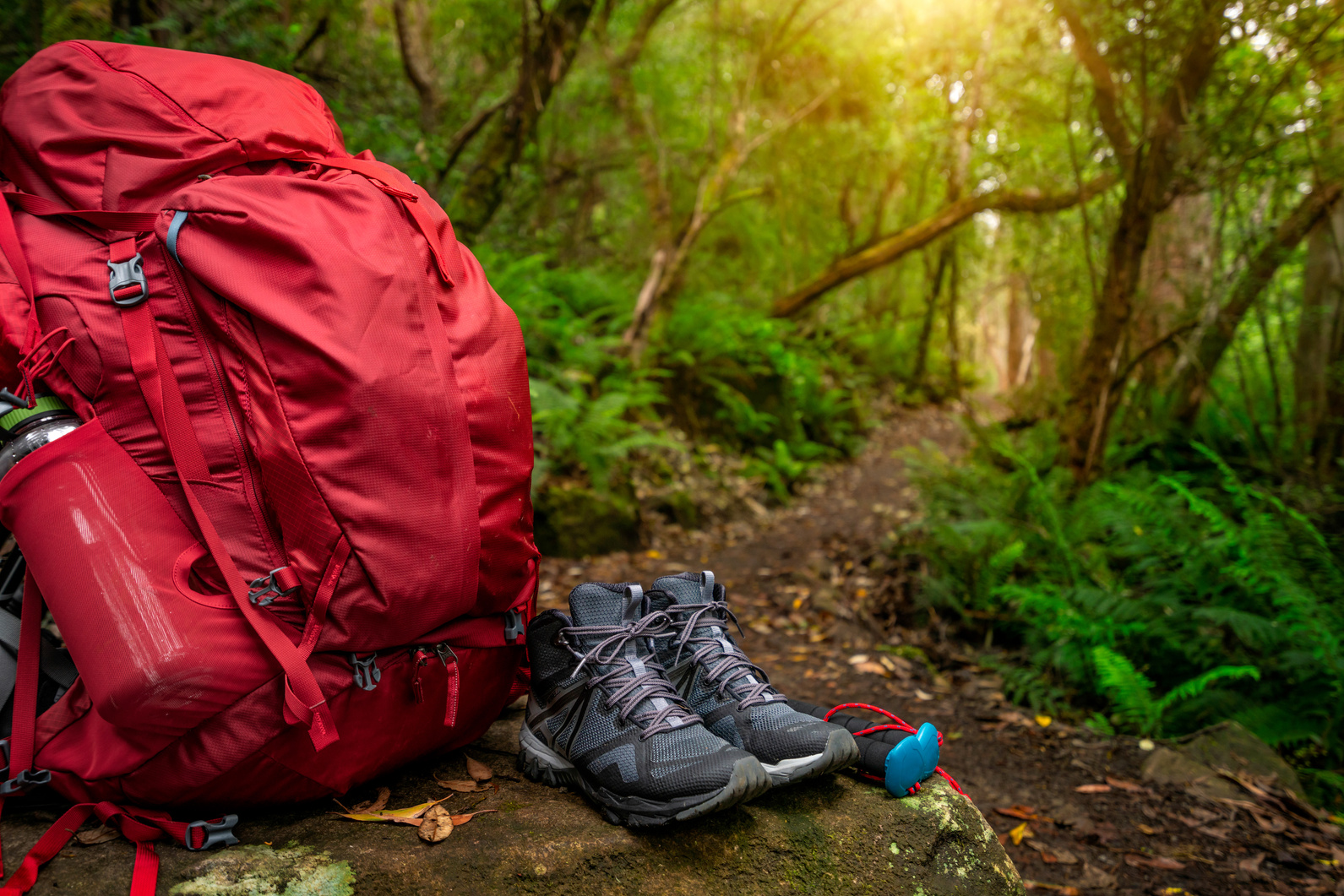 Hiking gear set in jungle of Tasmania, Australia.